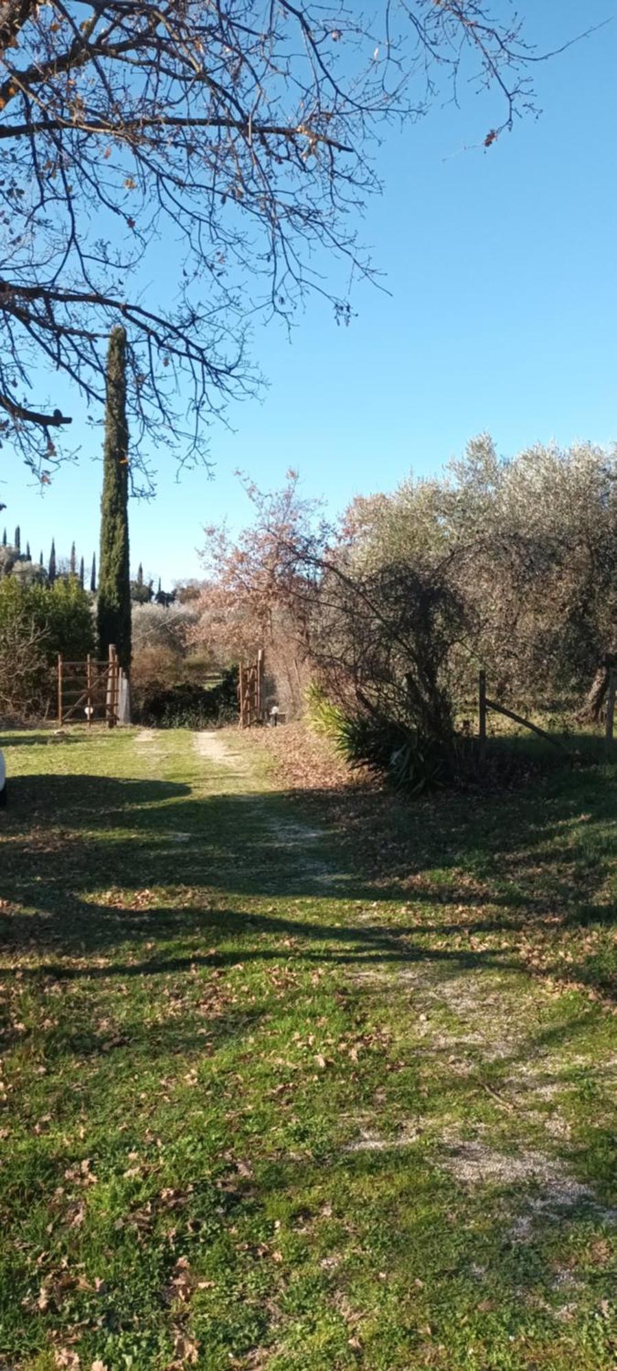Casa In Maremma Apartment Montemerano Ngoại thất bức ảnh