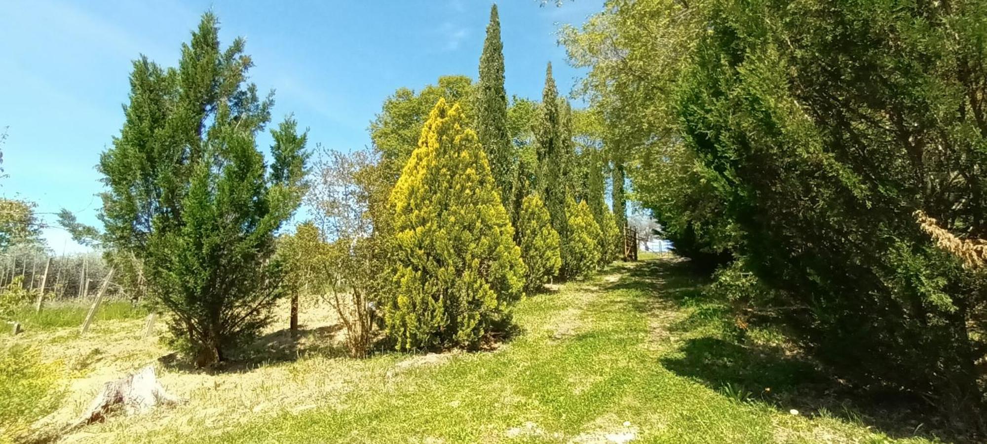 Casa In Maremma Apartment Montemerano Ngoại thất bức ảnh