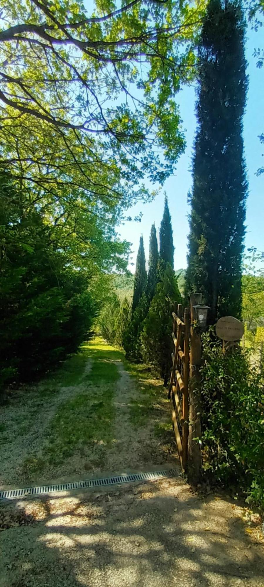 Casa In Maremma Apartment Montemerano Ngoại thất bức ảnh